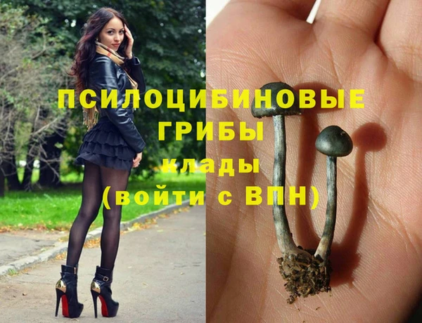 мет Бронницы